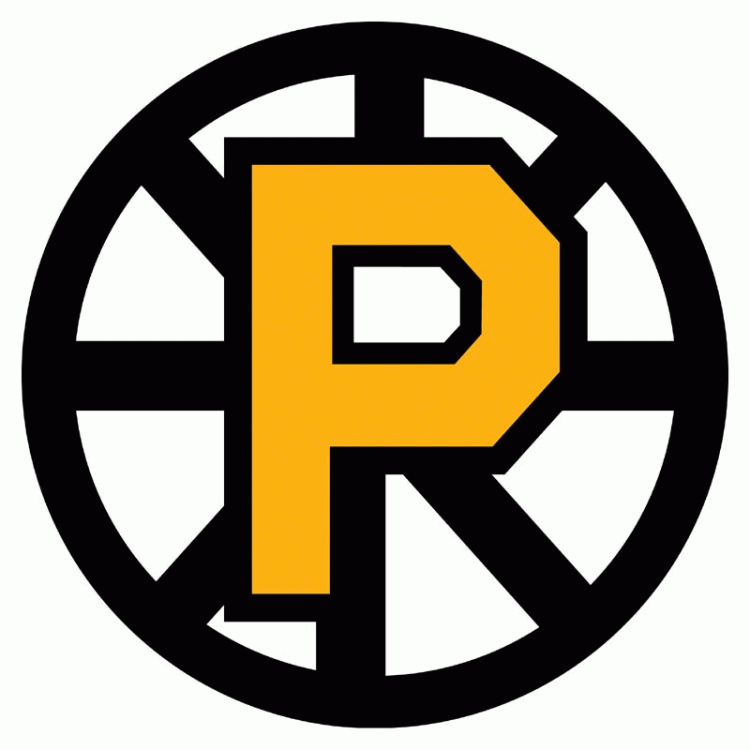 Providence Bruins 2012 13-Pres Primary Logo iron on heat transfer